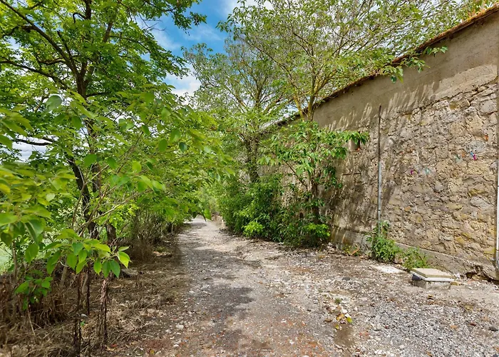 With Pool Amid Vineyards And Near The Appartement
