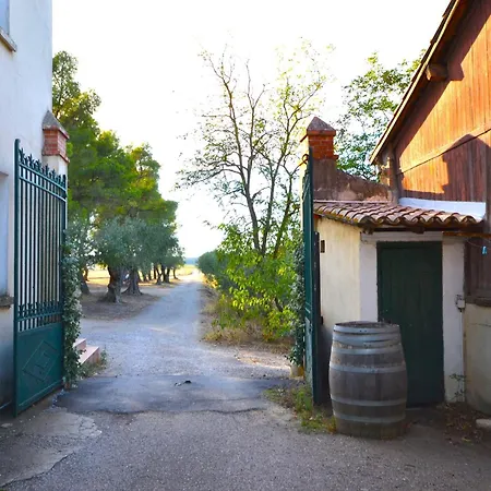 With Pool Amid Vineyards And Near The Apartment Meze