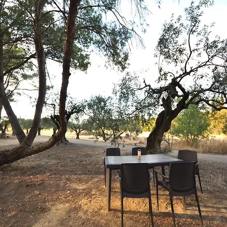 With Pool Amid Vineyards And Near The * Meze