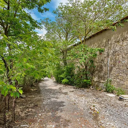 With Pool Amid Vineyards And Near The Apartment Meze