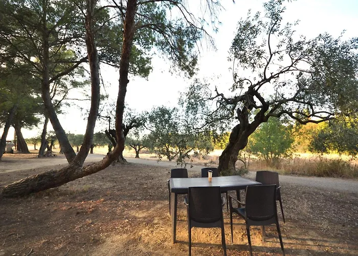 With Pool Amid Vineyards And Near The Mèze
